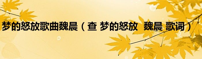 梦的怒放歌曲魏晨（查 梦的怒放  魏晨 歌词）