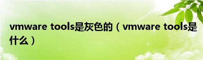 vmware tools是灰色的（vmware tools是什么）