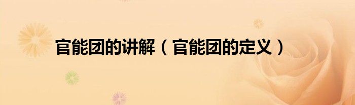 官能团的讲解（官能团的定义）