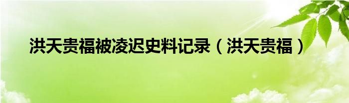 洪天贵福被凌迟史料记录（洪天贵福）