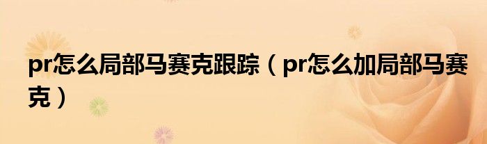 pr怎么局部马赛克跟踪（pr怎么加局部马赛克）
