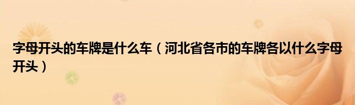字母开头的车牌是什么车（河北省各市的车牌各以什么字母开头）