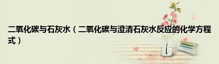 二氧化碳与石灰水（二氧化碳与澄清石灰水反应的化学方程式）