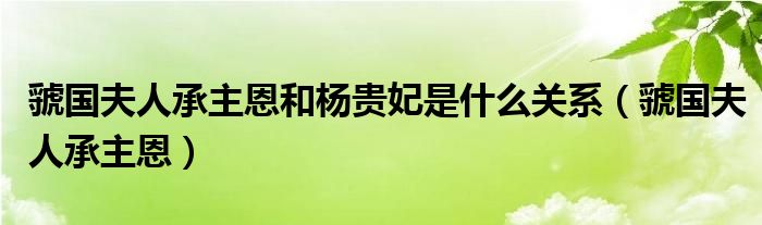 虢国夫人承主恩和杨贵妃是什么关系（虢国夫人承主恩）