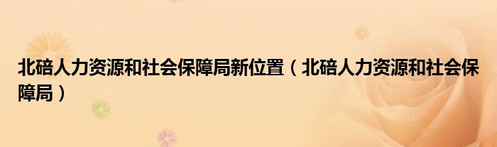 北碚人力资源和社会保障局新位置（北碚人力资源和社会保障局）