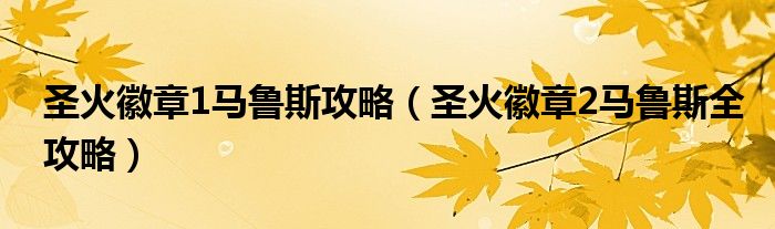 圣火徽章1马鲁斯攻略（圣火徽章2马鲁斯全攻略）