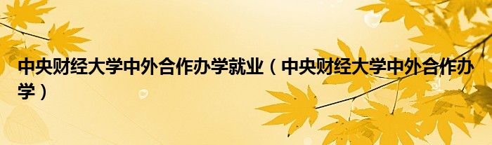 中央财经大学中外合作办学就业（中央财经大学中外合作办学）