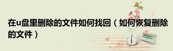 在u盘里删除的文件如何找回（如何恢复删除的文件）