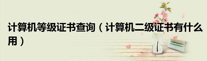 计算机等级证书查询（计算机二级证书有什么用）