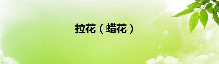 拉花（蜡花）