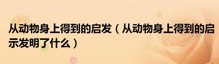 从动物身上得到的启发（从动物身上得到的启示发明了什么）