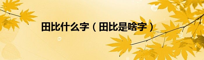 田比什么字（田比是啥字）