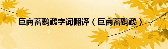 巨商蓄鹦鹉字词翻译（巨商蓄鹦鹉）