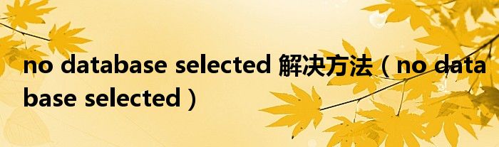 no database selected 解决方法（no database selected）