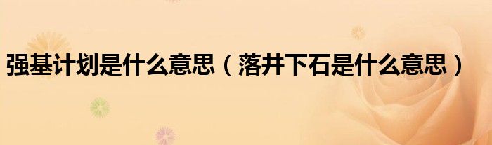 强基计划是什么意思（落井下石是什么意思）