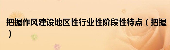 把握作风建设地区性行业性阶段性特点（把握）