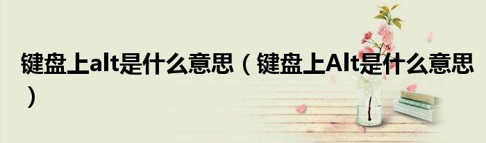 键盘上alt是什么意思（键盘上Alt是什么意思）