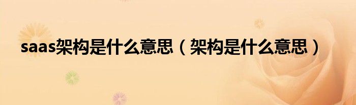 saas架构是什么意思（架构是什么意思）