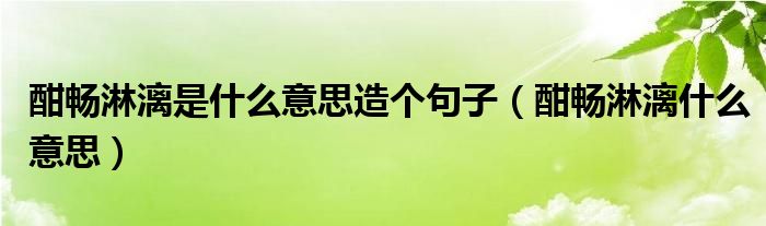 酣畅淋漓是什么意思造个句子（酣畅淋漓什么意思）