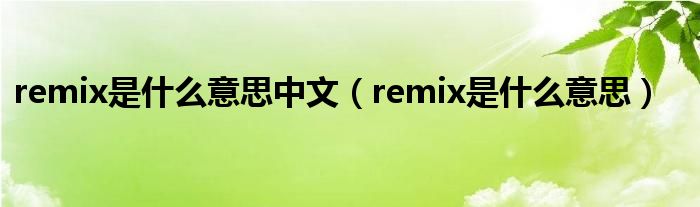 remix是什么意思中文（remix是什么意思）