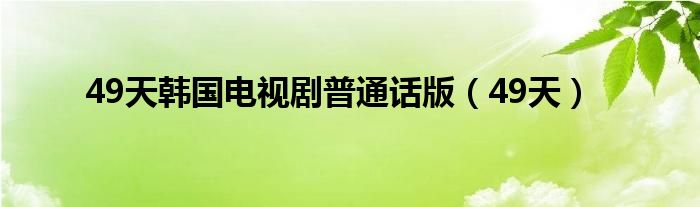 49天韩国电视剧普通话版（49天）