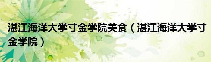 湛江海洋大学寸金学院美食（湛江海洋大学寸金学院）