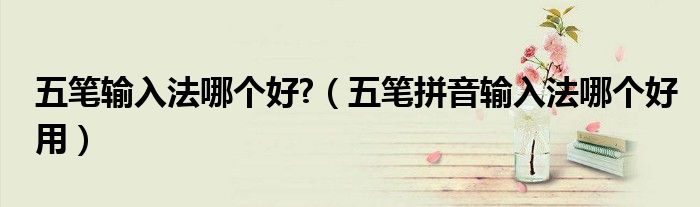 五笔输入法哪个好?（五笔拼音输入法哪个好用）