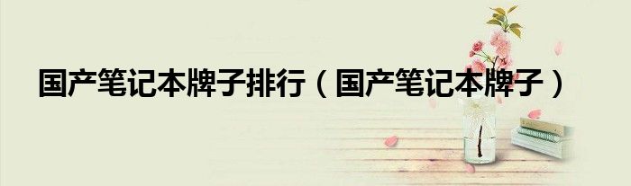 国产笔记本牌子排行（国产笔记本牌子）
