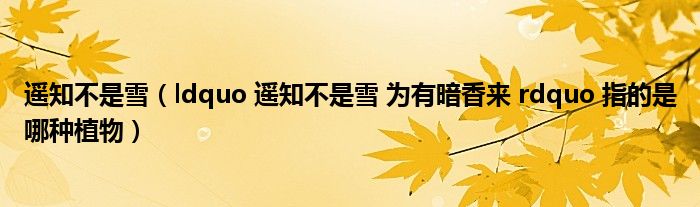 遥知不是雪（ldquo 遥知不是雪 为有暗香来 rdquo 指的是哪种植物）
