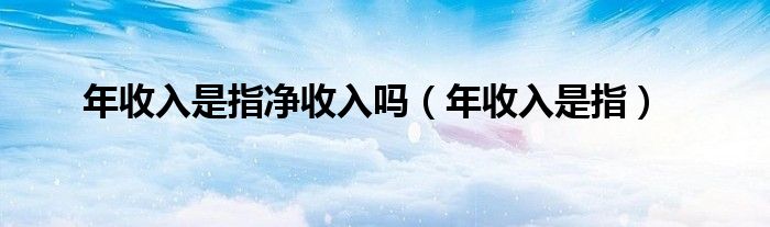 年收入是指净收入吗（年收入是指）