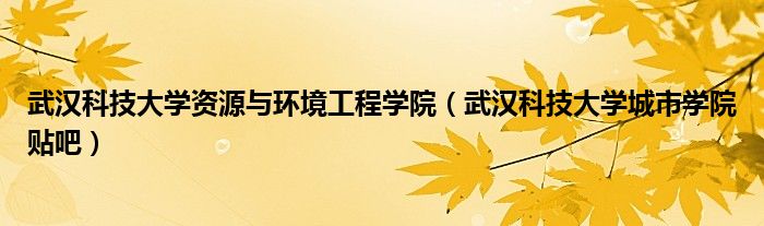 武汉科技大学资源与环境工程学院（武汉科技大学城市学院贴吧）