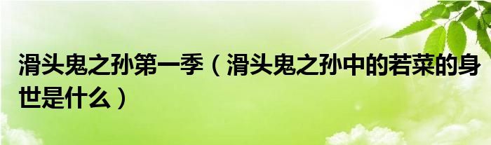 滑头鬼之孙第一季（滑头鬼之孙中的若菜的身世是什么）