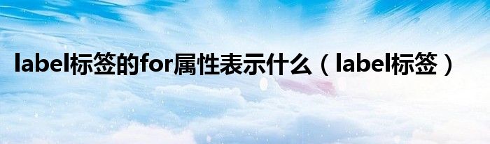 label标签的for属性表示什么（label标签）