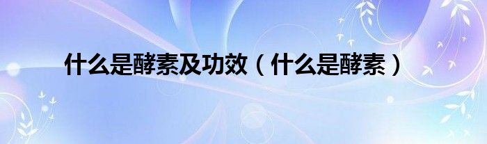 什么是酵素及功效（什么是酵素）