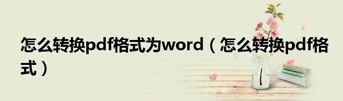 怎么转换pdf格式为word（怎么转换pdf格式）
