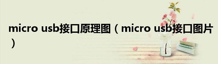 micro usb接口原理图（micro usb接口图片）