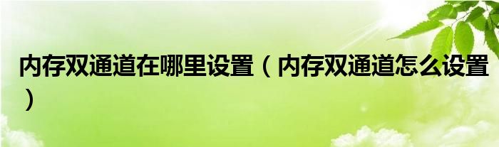 内存双通道在哪里设置（内存双通道怎么设置）