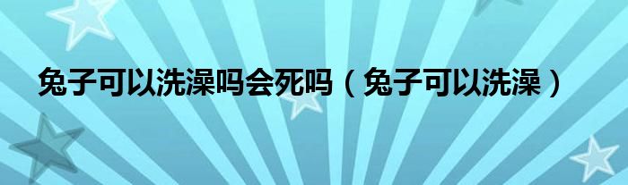 兔子可以洗澡吗会死吗（兔子可以洗澡）