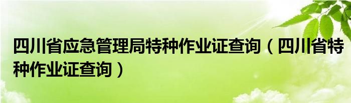 四川省应急管理局特种作业证查询（四川省特种作业证查询）