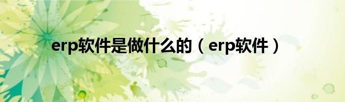 erp软件是做什么的（erp软件）