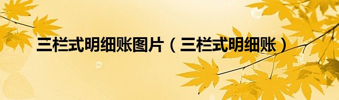 三栏式明细账图片（三栏式明细账）