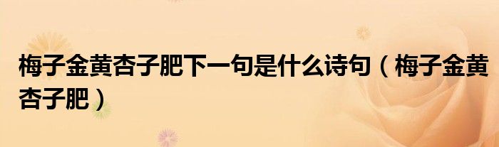梅子金黄杏子肥下一句是什么诗句（梅子金黄杏子肥）