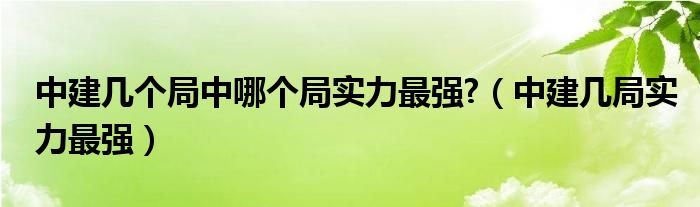 中建几个局中哪个局实力最强?（中建几局实力最强）