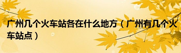 广州几个火车站各在什么地方（广州有几个火车站点）