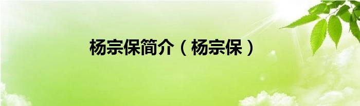 杨宗保简介（杨宗保）