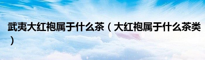 武夷大红袍属于什么茶（大红袍属于什么茶类）
