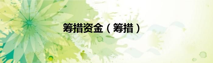 筹措资金（筹措）