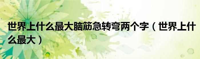 世界上什么最大脑筋急转弯两个字（世界上什么最大）