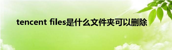 tencent files是什么文件夹可以删除