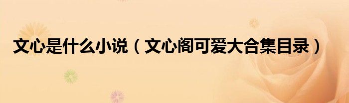 文心是什么小说（文心阁可爱大合集目录）